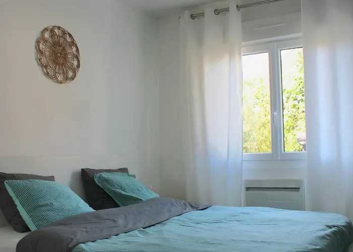 F2 Between Cathedral And Basilica Reims